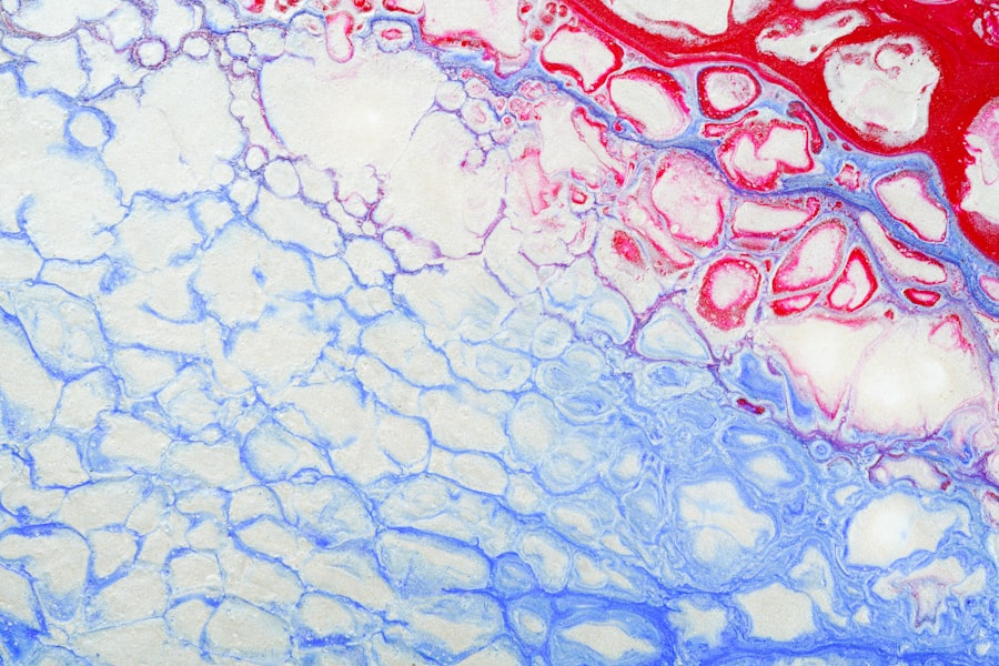 Photo blood vessels
