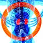 Photo thyroid hormones