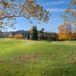 Photo micoza unghiei