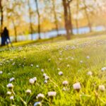 Photo spring allergies