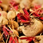 Photo benefits of red beet consumption