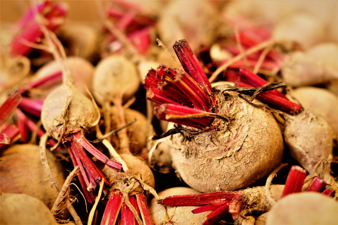 Photo benefits of red beet consumption